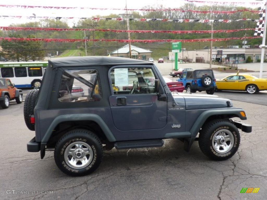 2001 Wrangler SE 4x4 - Steel Blue Pearl / Agate Black photo #6