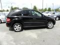 Black - ML 320 BlueTec 4Matic Photo No. 17