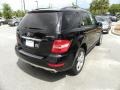Black - ML 320 BlueTec 4Matic Photo No. 18