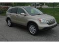 2008 Borrego Beige Metallic Honda CR-V EX-L 4WD  photo #1