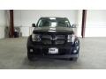 Blackberry Pearl - Nitro Heat 4.0 4x4 Photo No. 2