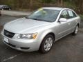 Bright Silver - Sonata GLS Photo No. 25