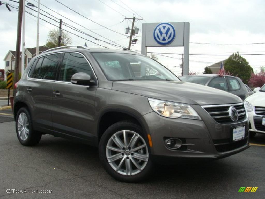 2011 Tiguan SE - Alpine Gray Metallic / Charcoal photo #1