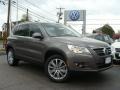 Alpine Gray Metallic - Tiguan SE Photo No. 1