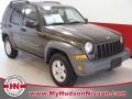 2005 Dark Khaki Pearl Jeep Liberty Sport  photo #1