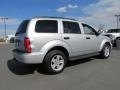 2009 Bright Silver Metallic Dodge Durango SE  photo #12