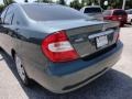 Aspen Green Pearl - Camry XLE Photo No. 10