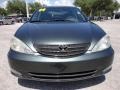 Aspen Green Pearl - Camry XLE Photo No. 21