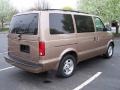 2004 Bronzemist Metallic Chevrolet Astro LS AWD Passenger Van  photo #6