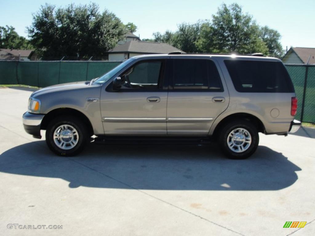 2002 Expedition XLT - Arizona Beige Metallic / Medium Parchment photo #6