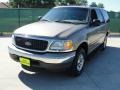 Arizona Beige Metallic - Expedition XLT Photo No. 7