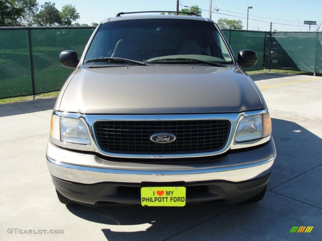 2002 Expedition XLT - Arizona Beige Metallic / Medium Parchment photo #8