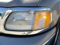 Arizona Beige Metallic - Expedition XLT Photo No. 10