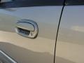 Arizona Beige Metallic - Expedition XLT Photo No. 23