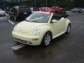 Mellow Yellow 2005 Volkswagen New Beetle GLS 1.8T Convertible Exterior