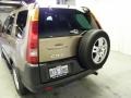 2003 Mojave Mist Metallic Honda CR-V EX 4WD  photo #11