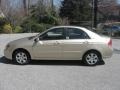 Sand Beige Metallic - Spectra EX Sedan Photo No. 10