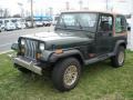 Moss Green Pearl 1995 Jeep Wrangler Gallery