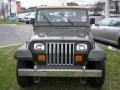 Moss Green Pearl - Wrangler Rio Grande 4x4 Photo No. 2