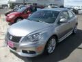 Platinum Silver Metallic - Kizashi SLS AWD Photo No. 2