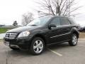 Black - ML 350 4Matic Photo No. 1