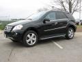 Black - ML 350 4Matic Photo No. 1