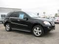 Black - ML 350 4Matic Photo No. 3