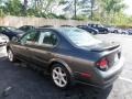 2001 Gray Lustre Metallic Nissan Maxima SE  photo #5