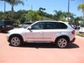 Titanium Silver Metallic - X5 4.8i Photo No. 3