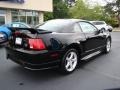 Black - Mustang Roush Stage 1 Coupe Photo No. 8