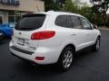 Powder White Pearl - Santa Fe Limited Photo No. 8