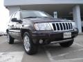 2004 Brillant Black Crystal Pearl Jeep Grand Cherokee Limited  photo #1