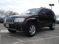 2004 Brillant Black Crystal Pearl Jeep Grand Cherokee Limited  photo #4