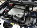Blue Chip - SRX V6 Photo No. 17
