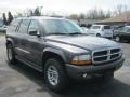 Graphite Metallic - Durango SLT 4x4 Photo No. 17