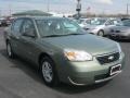 2006 Silver Green Metallic Chevrolet Malibu LS Sedan  photo #15