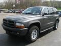 Graphite Metallic - Durango SXT 4x4 Photo No. 1