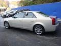 Gold Mist - CTS Sedan Photo No. 2