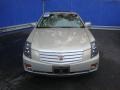 Gold Mist - CTS Sedan Photo No. 7