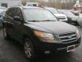 Ebony Black - Santa Fe Limited 4WD Photo No. 14