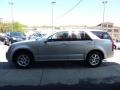 Light Platinum - SRX V6 Photo No. 6