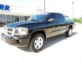 2010 Brilliant Black Crystal Pearl Dodge Dakota Lone Star Crew Cab  photo #1