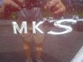 Cinnamon Metallic - MKS FWD Photo No. 8