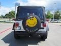 2004 Bright Silver Metallic Jeep Wrangler X 4x4  photo #4
