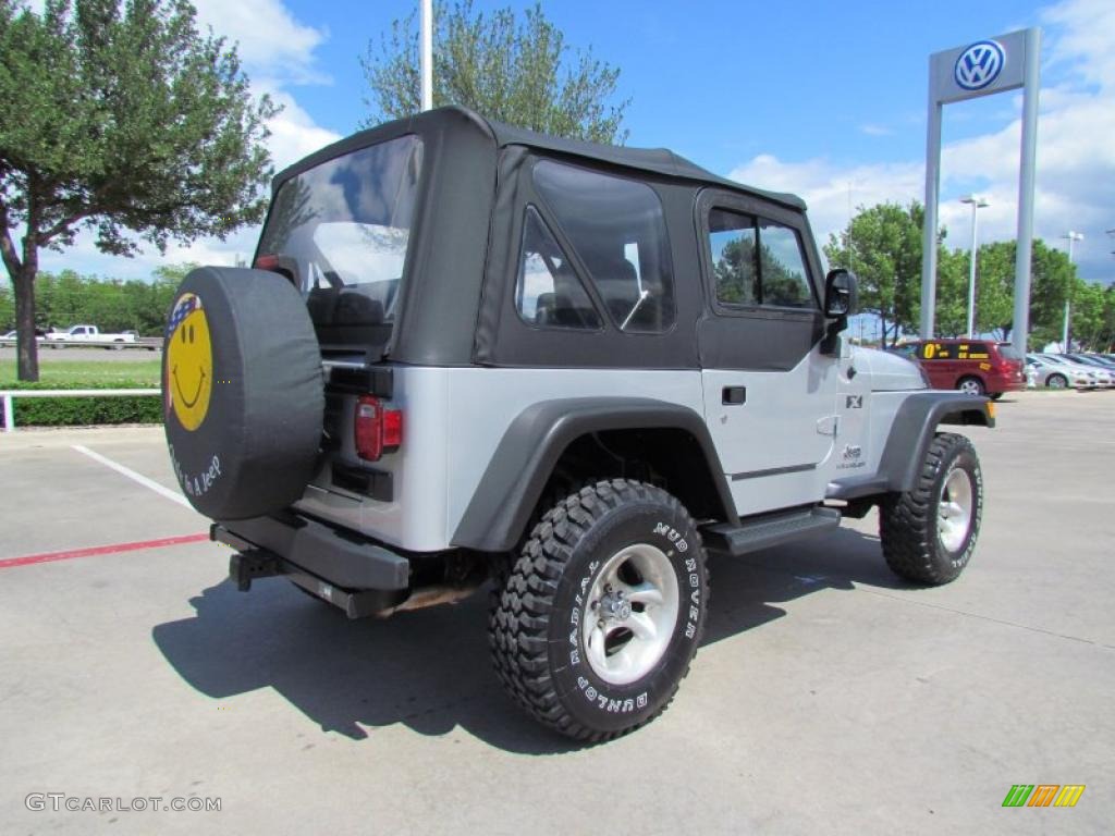 2004 Wrangler X 4x4 - Bright Silver Metallic / Dark Slate Gray photo #5