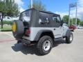 2004 Bright Silver Metallic Jeep Wrangler X 4x4  photo #5