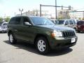 2008 Jeep Green Metallic Jeep Grand Cherokee Laredo 4x4  photo #3