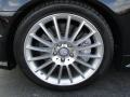 2010 Mercedes-Benz SLK 300 Roadster Wheel and Tire Photo