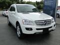 Arctic White - ML 350 4Matic Photo No. 3