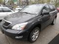 Smokey Granite - RX 350 AWD Photo No. 1